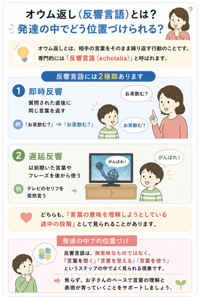 オウム返し（反響言語）とは？発達の中でどう位置付けられる？