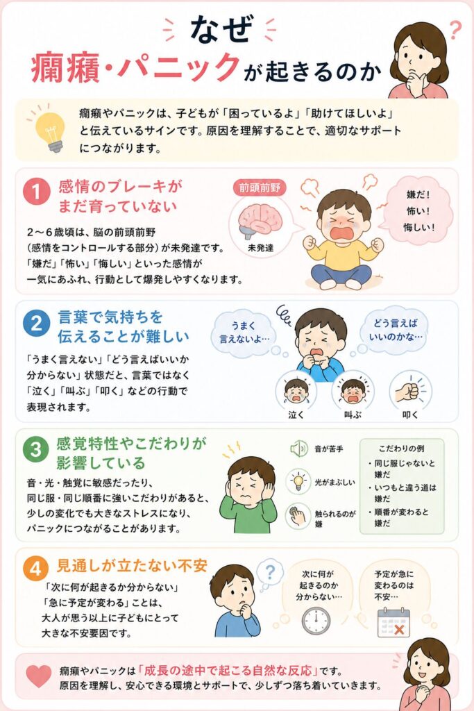 なぜ癇癪・パニックが起きるのか