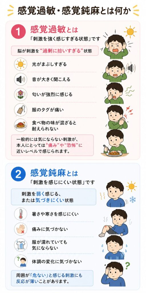 感覚過敏・感覚鈍麻とは何か